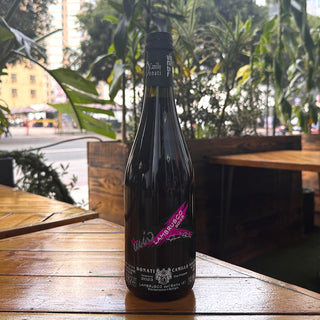 Donati Lambrusco Frizzante dell'Emilia 2023, 750 mL Sparkling Red Wine Bottle (11% ABV)