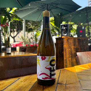 Shukhrat Khakimov TEO Blanco Joven 2020, 750 mL White Wine Bottle (13% ABV)