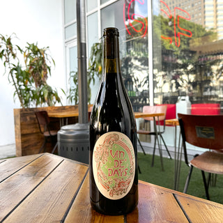 Day Wines Vin de Days Rouge 2022, 750 mL Chillable Red Wine Bottle (12.75% ABV)