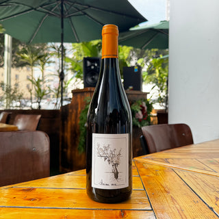 Veronique Günther-Chereau Muscadet Sevreet Maine "Anima Mea" 2020, 750 mL White Wine Bottle (12% ABV)