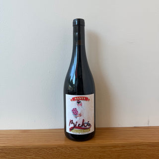 Bichi “La Santa Rosa del Perú” 2022, 750ml Chillable Red Wine Bottle (12.5% ABV)