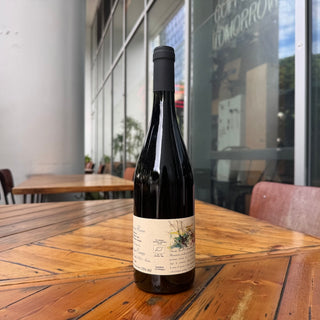 Cinque Campi Lambrusco Rosso ORG 2023, 750 mL Sparkling Wine Bottle (11.5% ABV)