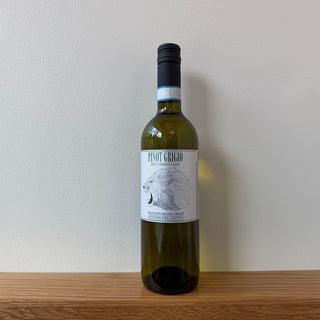 Domini Del Leone Pinot Grigio 2024, 750 mL White Wine Bottle (12.5% ABV)