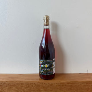 Les Vignerons d'Estézargues “Carambouille” 2024, 750ml Chillable Red Wine Bottle (13% ABV)