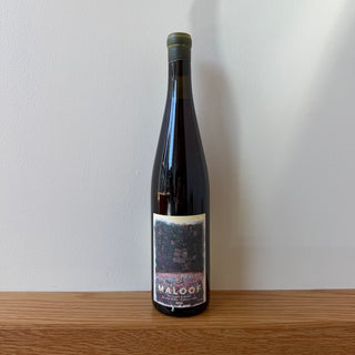 Maloof No Clos Radio All Grapes Welcome 2023, 750mL Chillable Red Wine Bottle (12% ABV)