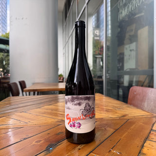 Panevino Survivor Rosato 2023