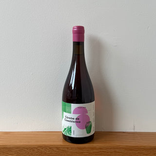 Vinicola Atacalco Pinot Gris “Carabe de Casablanca” 2025, 750ml Orange Wine Bottle (12% ABV)